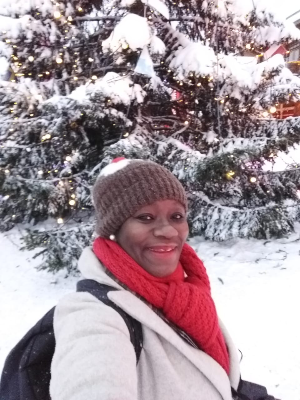 Arctic Circle Winter Wonderland